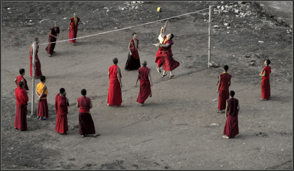 volleyball_monks