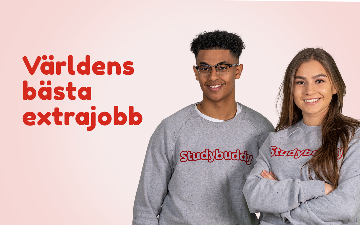 Study buddy - världens bästa extrajobb 