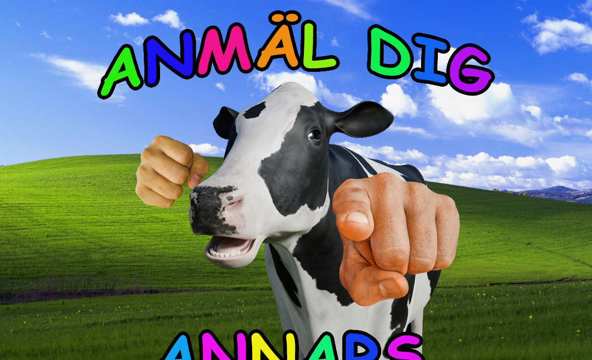 Text